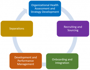 Employee Lifecycle and Risk Management Model